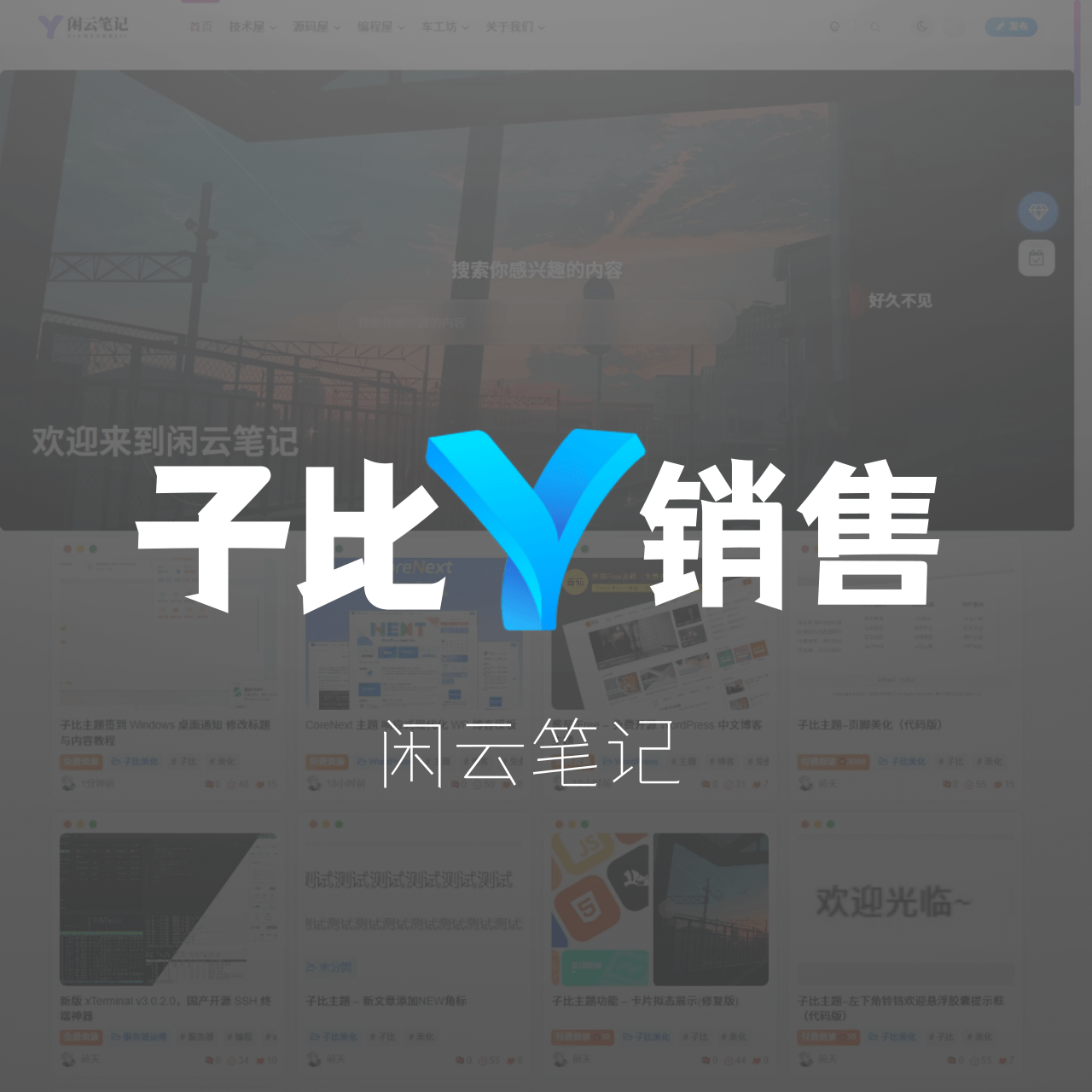 子比主题 - 付费增加限量销售（代码版）-闲云笔记